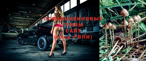 МДПВ Майский