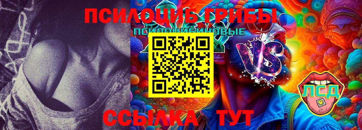 Галлюциногенные грибы Magic Shrooms  Вход с VPN  Галлюциногенные грибы Magic Shrooms  Коркино 