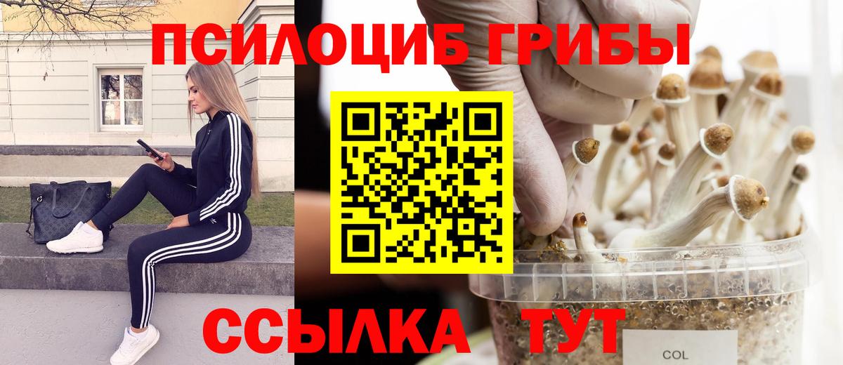 Псилоцибиновые грибы Magic Shrooms Коркино